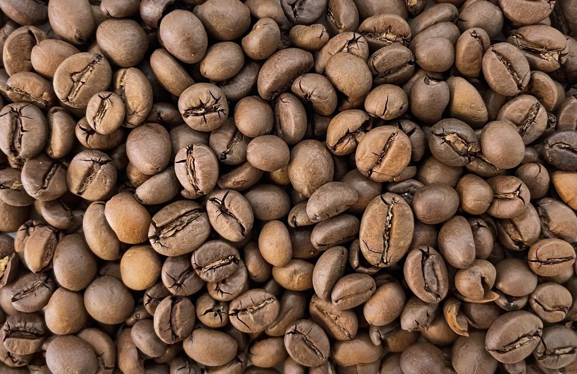 ロブスタコーヒー豆の画像