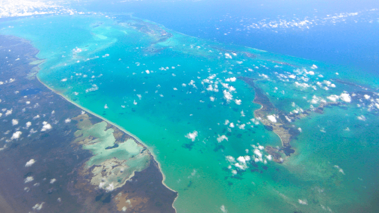 カリブ海の景色